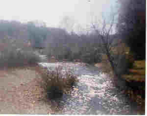 Piney River looking upstream