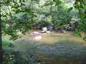 Along the Piney River